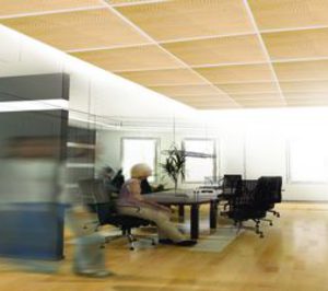 Placo lanza Techo Coratone