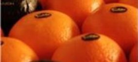 Frutas Franch presenta concurso voluntario