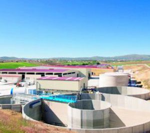 La nueva Taurum continúa su expansión en vacuno de la mano de Avigase