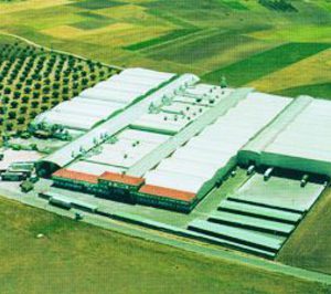 Indas inicia un nuevo plan inversor