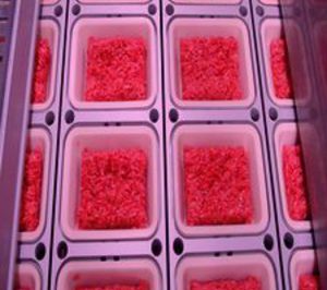 Embutidos Martínez se supera