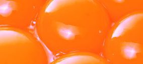 Eggmax echa el cierre y traslada su negocio a Asturias