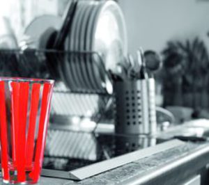 Lavavajillas: Crecimiento moderado