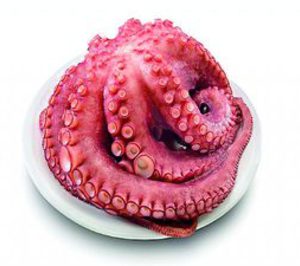 Viveros Merimar inaugura instalaciones 