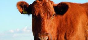 Cárnicas Rosada invierte 1,5 M en el traslado de sus instalaciones