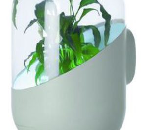 Scyse lanza el purificador natural Andrea