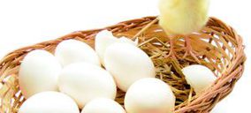Huevos: El bienestar animal impone una reconversión