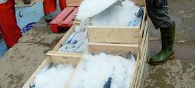 Buena Pesca inicia la comercialización de producto fresco