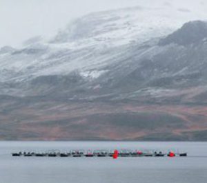 Eduardo Vieira apuesta por el cultivo y recorta su tejido fabril