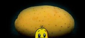 Almacenes Rubio ultima la apertura de su nueva nave