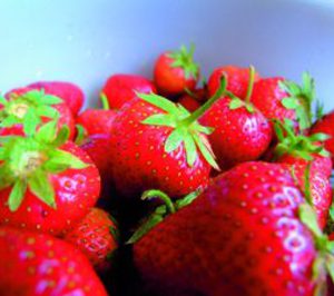 Fruláctea Caval presenta un ERE para el 80% de su plantilla