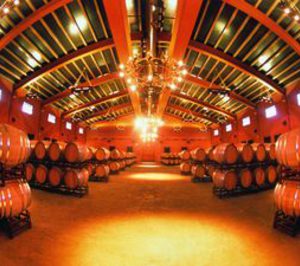 Tomás Osborne: Estamos superando bien la recesión por la fortaleza de nuestras marcas y la diversificación