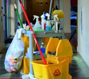 Demasa finaliza 2009 mejor de lo previsto