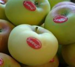 Continuos Grafimur crece un 9,5%