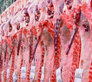 Dehesa Grande duplica su cifra exportaciones en 2009