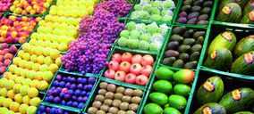 Euro Pool incrementa sus ventas un 13%