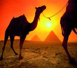 El Grupo Cívica crea una filial en Qatar