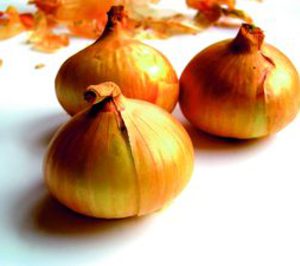 Eurocebollas presupuesta una subida del 15% en sus ventas