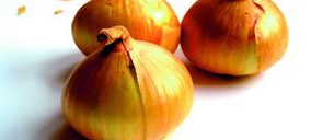 Eurocebollas presupuesta una subida del 15% en sus ventas