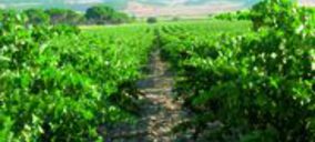 Disparidad en la evaluación de la segunda destilación