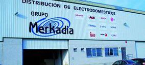 Merkadia, descenso en facturación en 2009