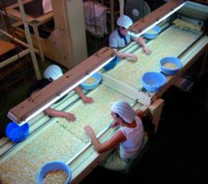 Luis Cremades Belmonte amplía sus instalaciones para cubrir la demanda