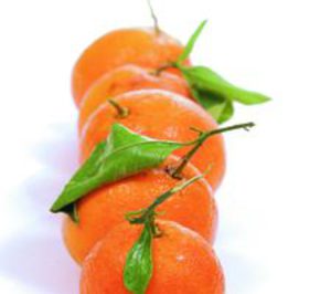 Frutas Beri invierte en su planta