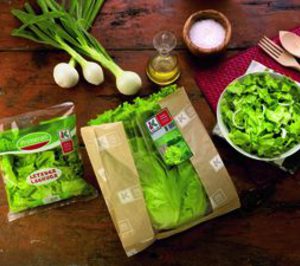 Lechuga vasca, un nuevo producto Eusko Label