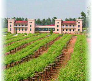 Bodegas La Val da entrada a nuevos socios