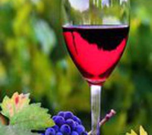 Valdevimbre acogerá otra bodega