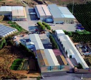 Coop. Ntra. Sra. de la Bella se suma al negocio de las renovables