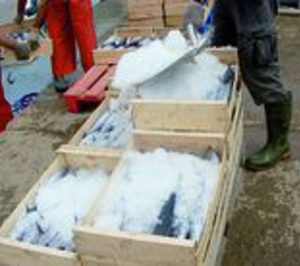 La mayorista de pescado Costa Plett Trade cambia de manos