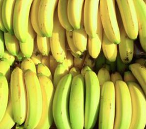 Grupo Riego compra nueva planta de maduración