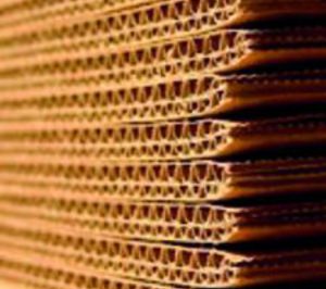 Los BRIC quieren más cartón