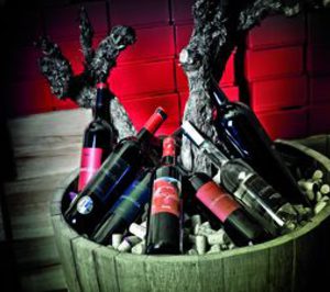 Chinchilla amplía capacidad en tintos de calidad