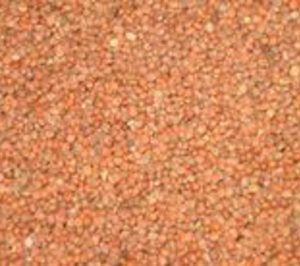 Agapito Tórrego Cuerdo compra una fábrica de Neoteg