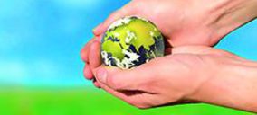 Boalimentación Infantil invierte 1,8 M en iniciar actividad