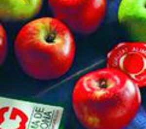 Arranca la campaña de recogida de IGP Poma de Girona con una merma del 2%