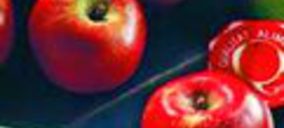 Arranca la campaña de recogida de IGP Poma de Girona con una merma del 2%