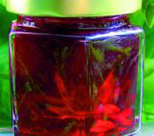 Conservas Ecydsa es declarada en concurso