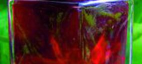 Conservas Ecydsa es declarada en concurso