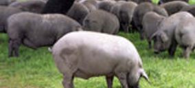 Naturíber llega al mercado