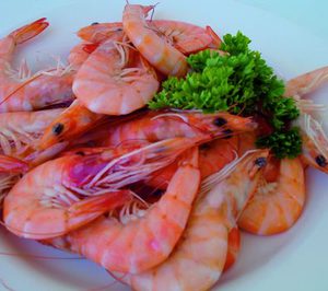 Cocedero continúa creciendo fuera de nuestras fronteras