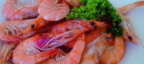 Cocedero continúa creciendo fuera de nuestras fronteras