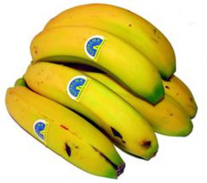 Las manipuladoras de plátano Cupalma y Agrupa trabajan conjuntamente