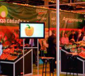 Grupo Agroponiente potenciará sus enseñas en Fruit Attraction