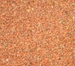 Neoteg presenta concurso voluntario