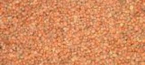 Neoteg presenta concurso voluntario