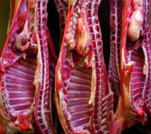 Gremial de Catalunya adquiere el matadero de Escorxador Gremial de Catalunya