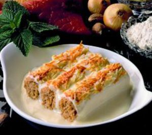 La nueva líder en soluciones Audens anuncia inversiones por valor de 20 M hasta 2014